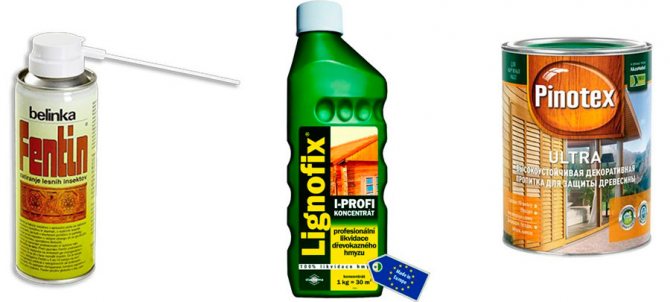 Жук-короед в деревянном доме: способы борьбы с точильщиком в домашних условиях