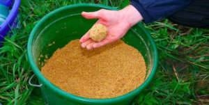 Ловля карпа в августе: на что лучше ловить и какую удочку брать