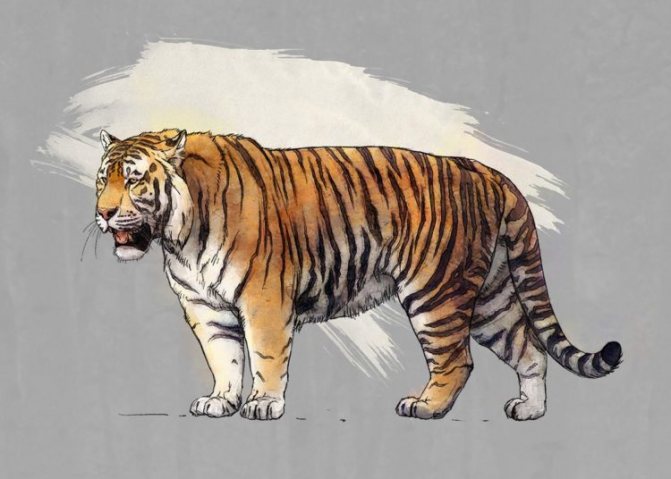 Тигры в Казахстане