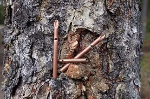 Как манить рябчика манком