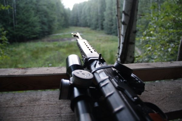 Пули на кабана: разновидности, пристрелка, убойные места и техника стрельбы