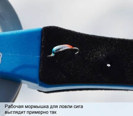 Ловля сига зимой: где водится, снасти, как ловить, тактика и техника