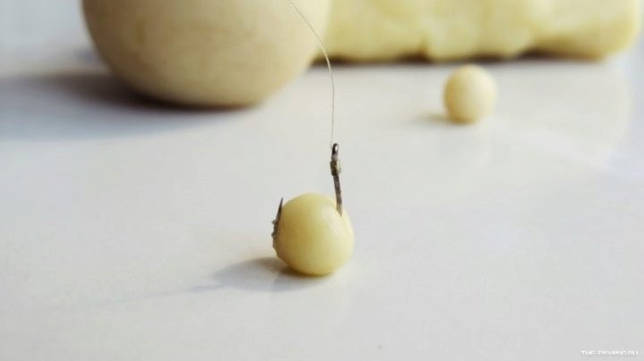 Ловля линя осенью в сентябре, октябре, ноябре на поплавочную удочку, фидер, донку - на что клюет, наживки, насадки