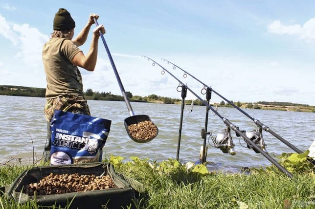 Ловля линя осенью в сентябре, октябре, ноябре на поплавочную удочку, фидер, донку - на что клюет, наживки, насадки