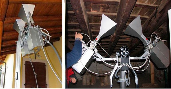 Жук-короед в деревянном доме: способы борьбы с точильщиком в домашних условиях