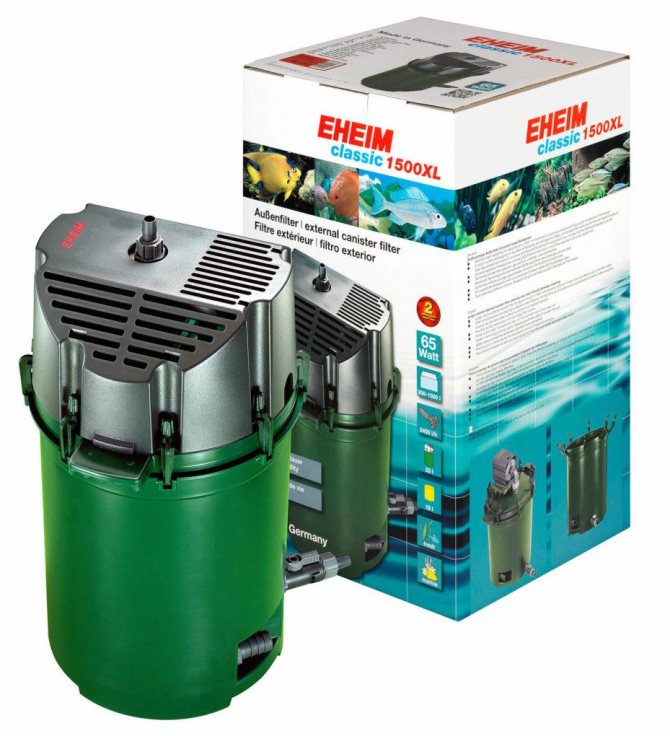 Кои: потребности, разведение и уход, объем воды для кои, температура для карпов кои, кислород, питание, фильтрация воды, растения для водоема, защита от хищников