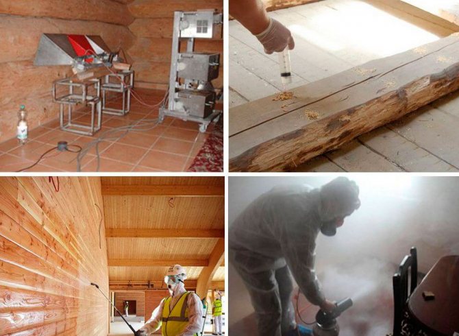 Жук-короед в деревянном доме: способы борьбы с точильщиком в домашних условиях