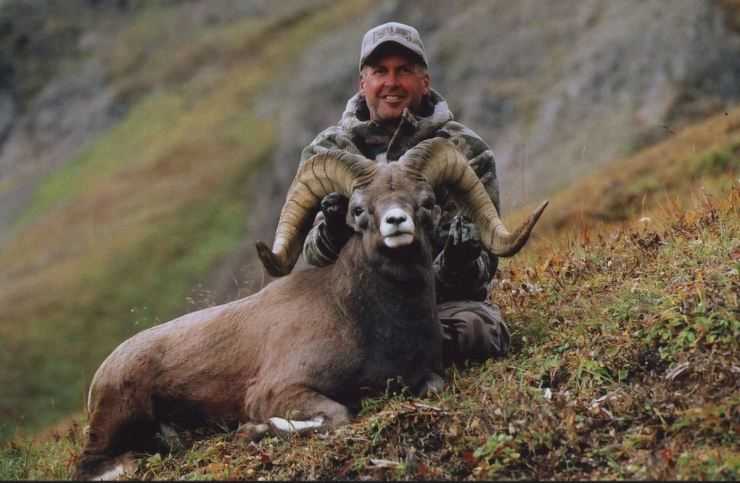 Горный баран – фото, описание, ареал, питание, размножение, враги