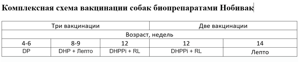 Лептоспироз у собак