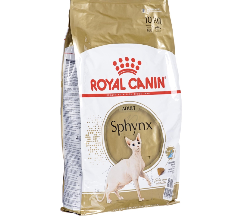 Характер кошек сфинксов: 3 плюса и 3 минуса