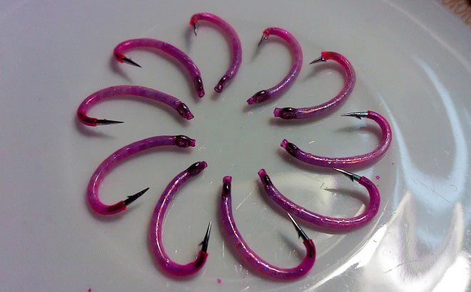 Ангарская резинка