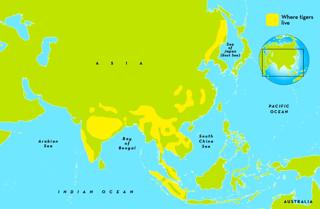 Тигровая зона