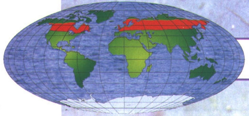 Ареал обитания обыкновенной осы