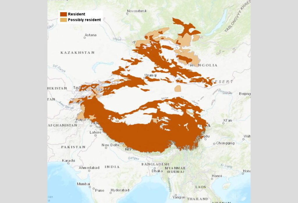 Место обитания снежного барса