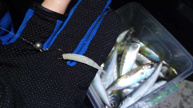 Ставрида (черноморская рыба): как ловить, места обитания, внешний вид, размеры, повадки, список самых уловистых приманок для ставриды