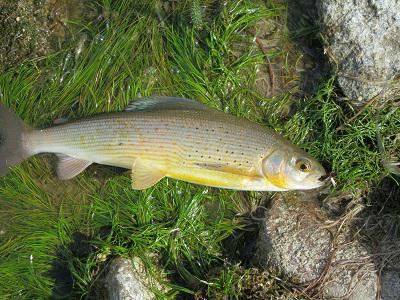 байкал россия