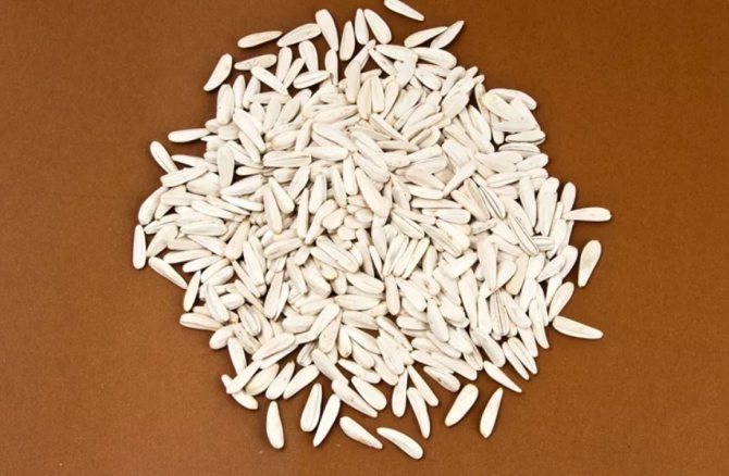 Белые подсолнечные семечки