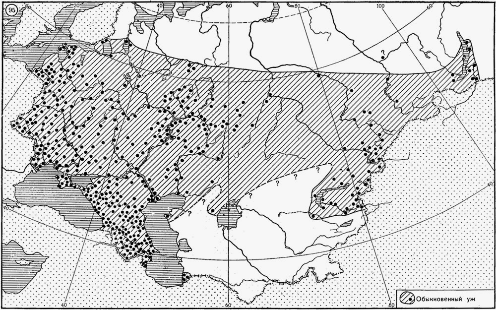 Среда обитания обыкновенного ужа в Европе
