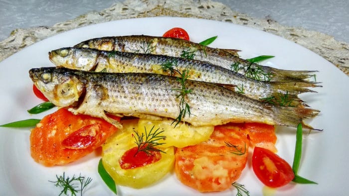 Ставрида (черноморская рыба): как ловить, места обитания, внешний вид, размеры, повадки, список самых уловистых приманок для ставриды