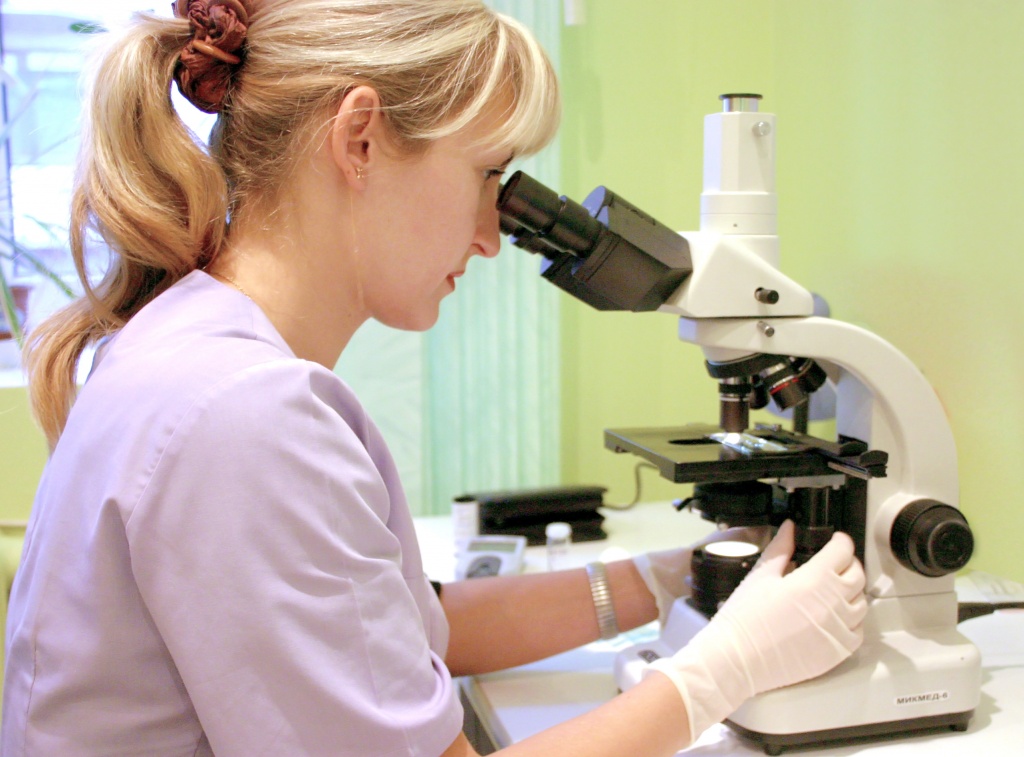 Демодекоз у кошек: лечение в домашних условиях, симптоматика и особенности