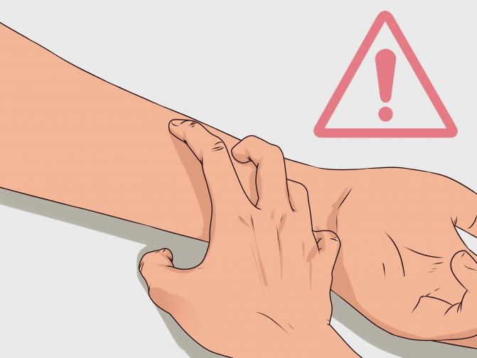 Что это за паук Тарантул