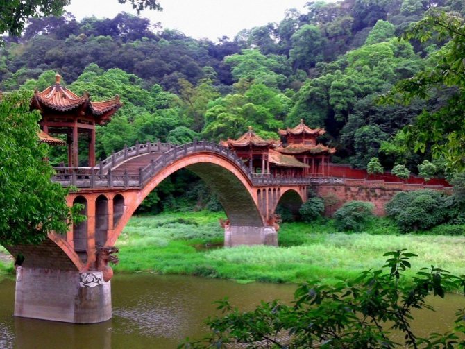 Животные Китая