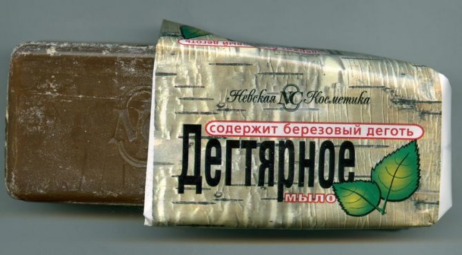 Дегтярное мыло применяют от блох у котов.
