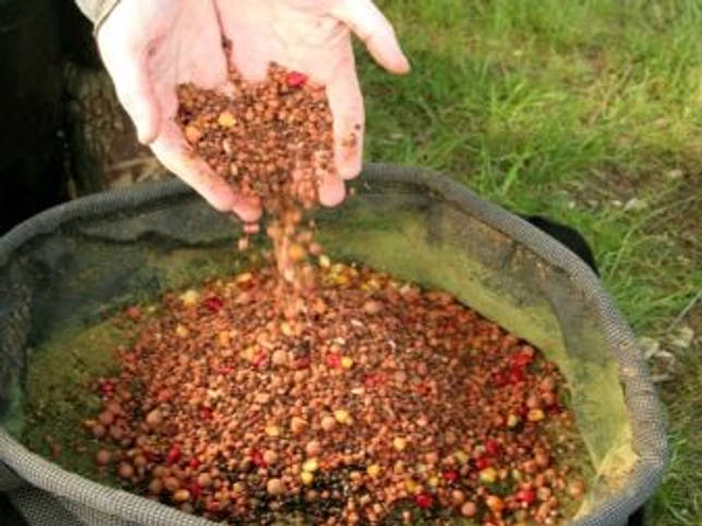 Ловля линя осенью в сентябре, октябре, ноябре на поплавочную удочку, фидер, донку - на что клюет, наживки, насадки