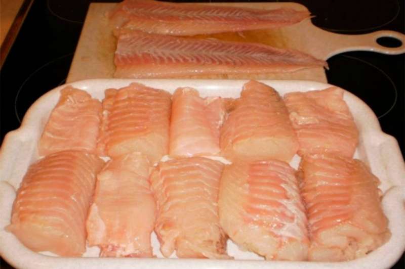 Где был выловлен самый большой налим? Рыбацкие байки, достоверные факты, польза мяса, где ловить крупного налима