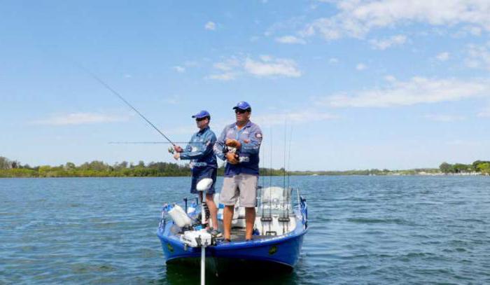 где водится пелядь в сибири