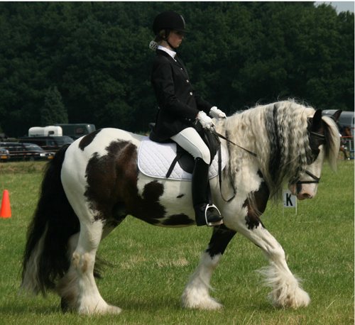 История возникновения