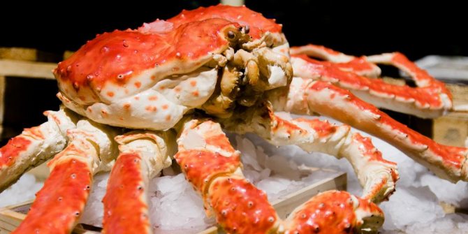 камчатский красный краб