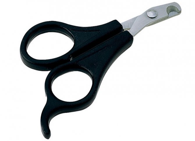 Когтерезка