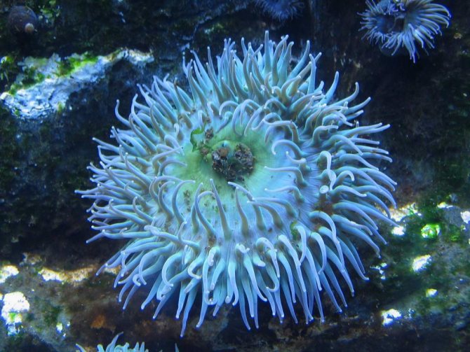 Красиво и опасно