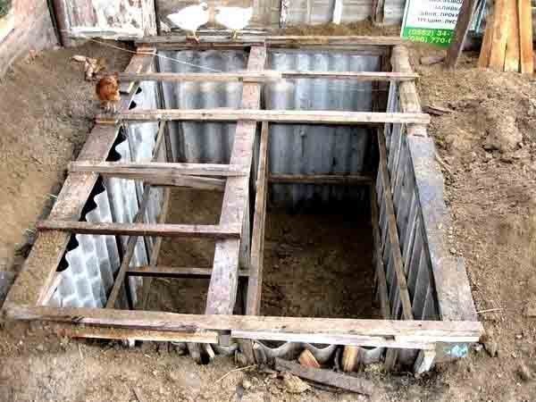 Уход и содержание декоративного кролика в квартире