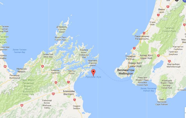 Гаттерия, или туатара (лат