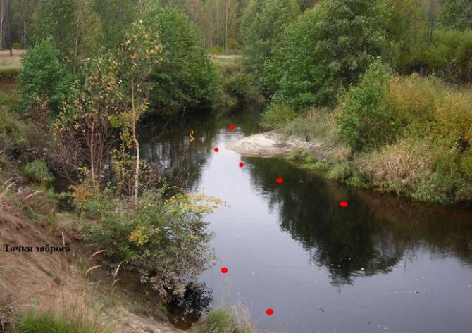 Ловля уклейки на поплавочную удочку и подготовка оснастки для рыбалки