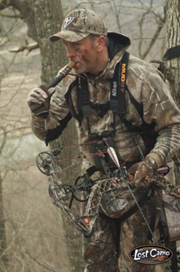 Когда гон у косули в средней полосе