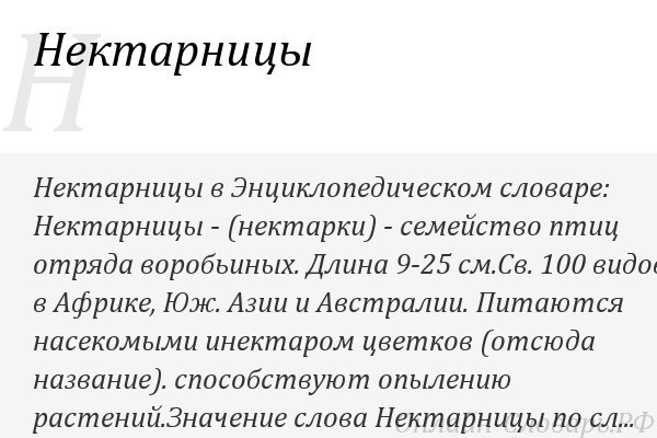 Нектарница: интересные факты о птицах