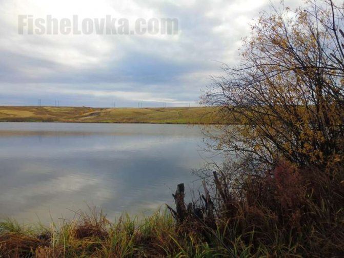 Осенью на пруду.