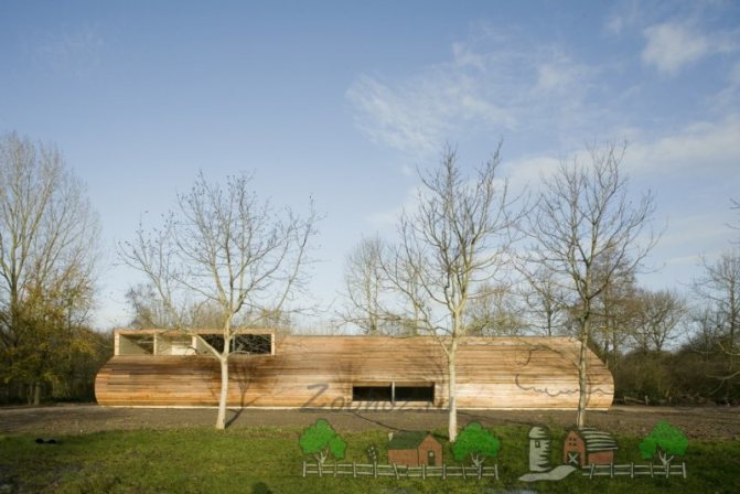 Как называется помещение, где живут овцы?