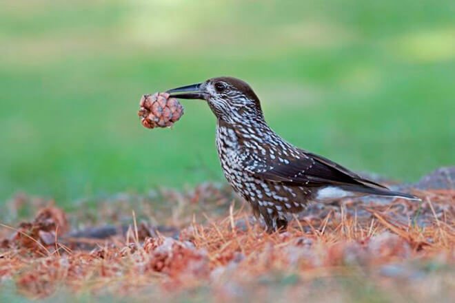 Питание. Образ жизни