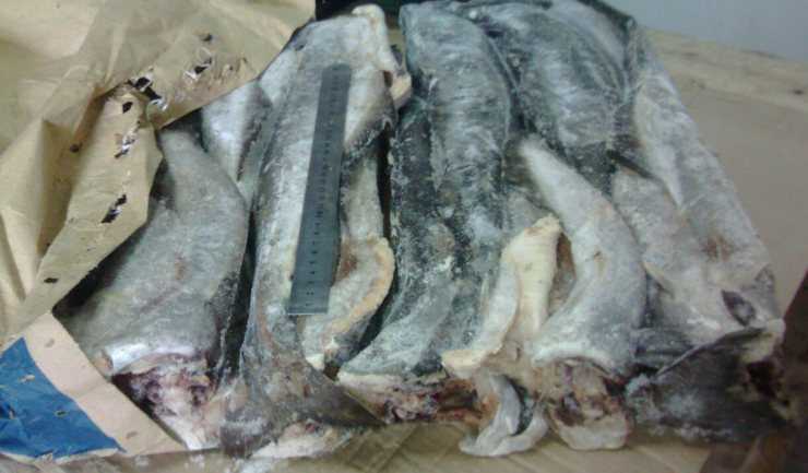 Польза и вред сайды