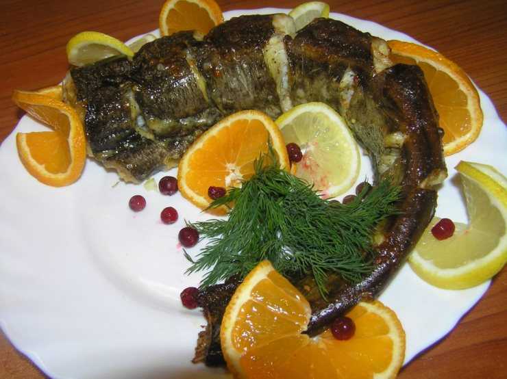 Польза и вред сайды