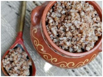 Порода собак чешский терьер фото