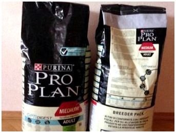 Порода собак чешский терьер фото