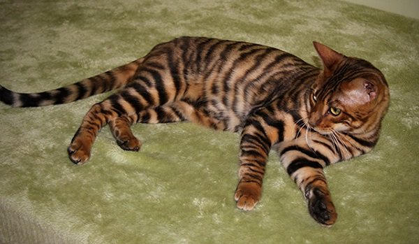 После игр надо отдохнуть