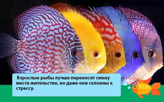 приспособление