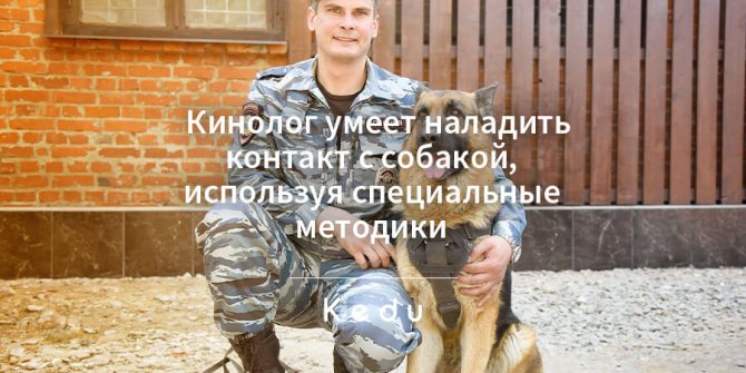 профессия кинолог чем занимается?