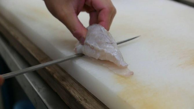 Рыба фугу: путь из аквариума в тарелку